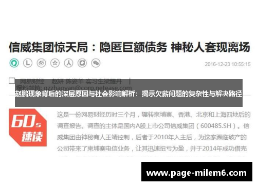 赵鹏现象背后的深层原因与社会影响解析：揭示欠薪问题的复杂性与解决路径